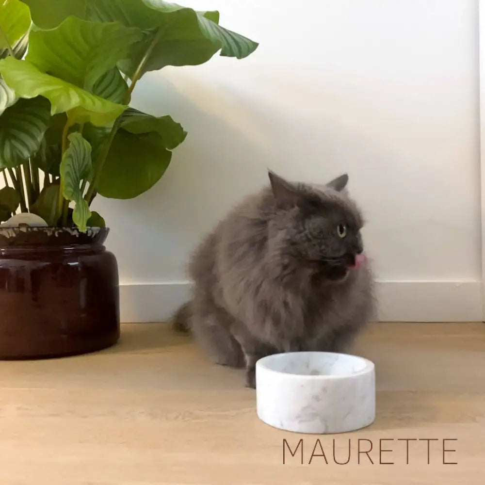 Marmeren drink - en voerbak Voer- en drinkbakken