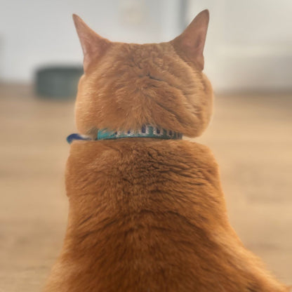 Kattenhalsband | Leer | GLOW