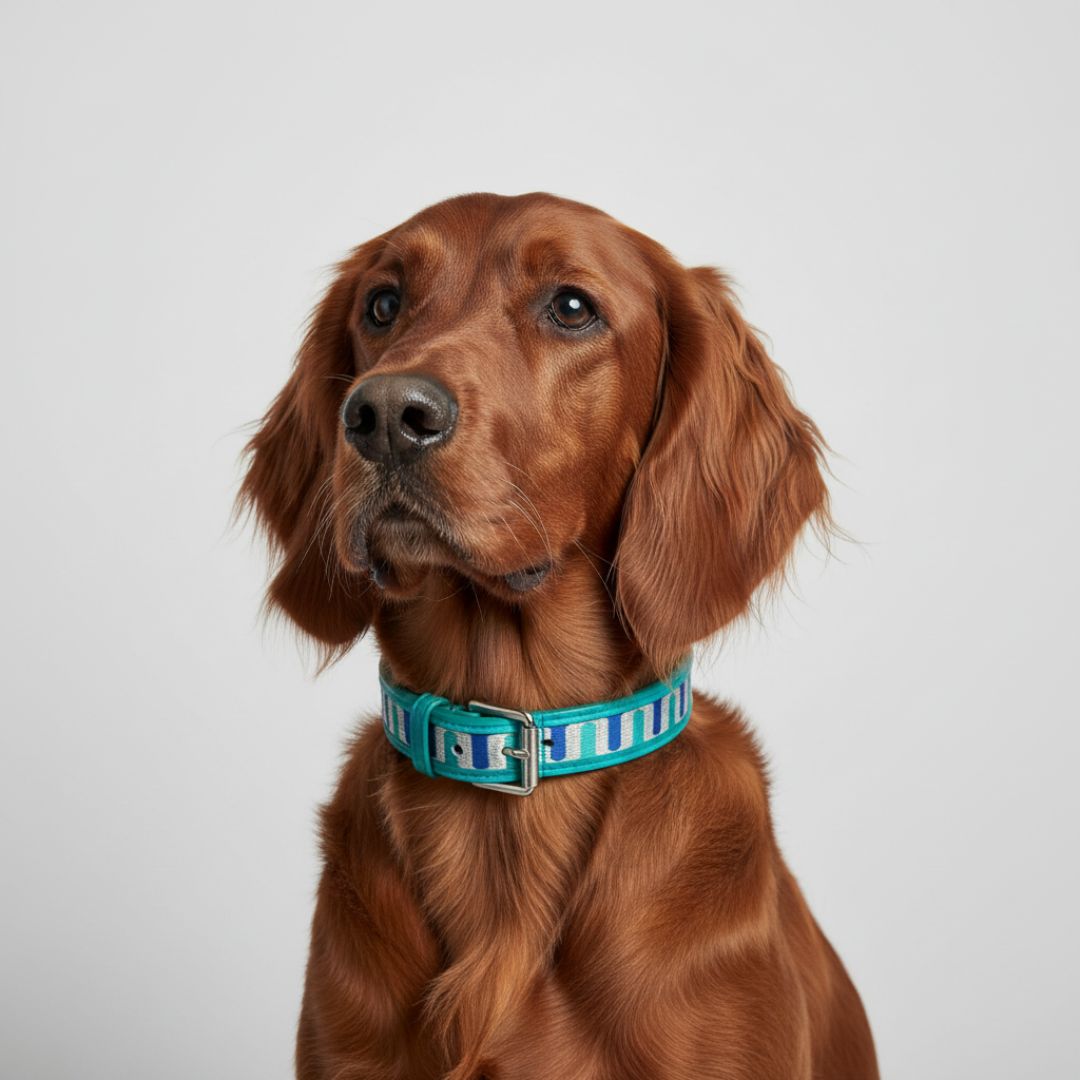 Halsband - Leer - GLOW