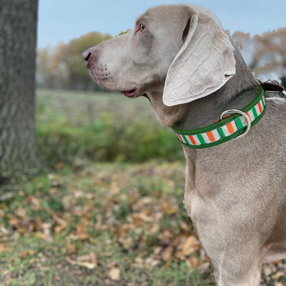 Halsband - Leer - GLOW