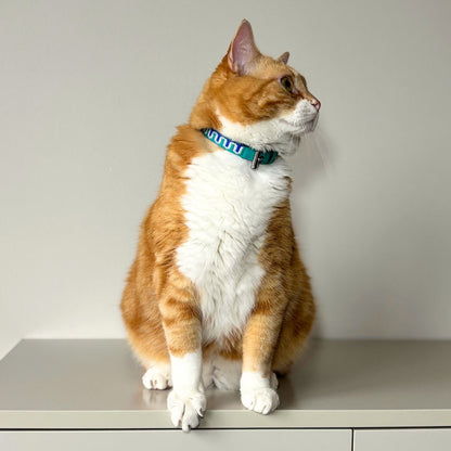 Kattenhalsband - Leer - GLOW