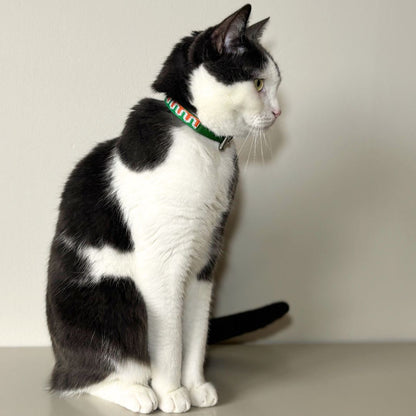 Kattenhalsband - Leer - GLOW