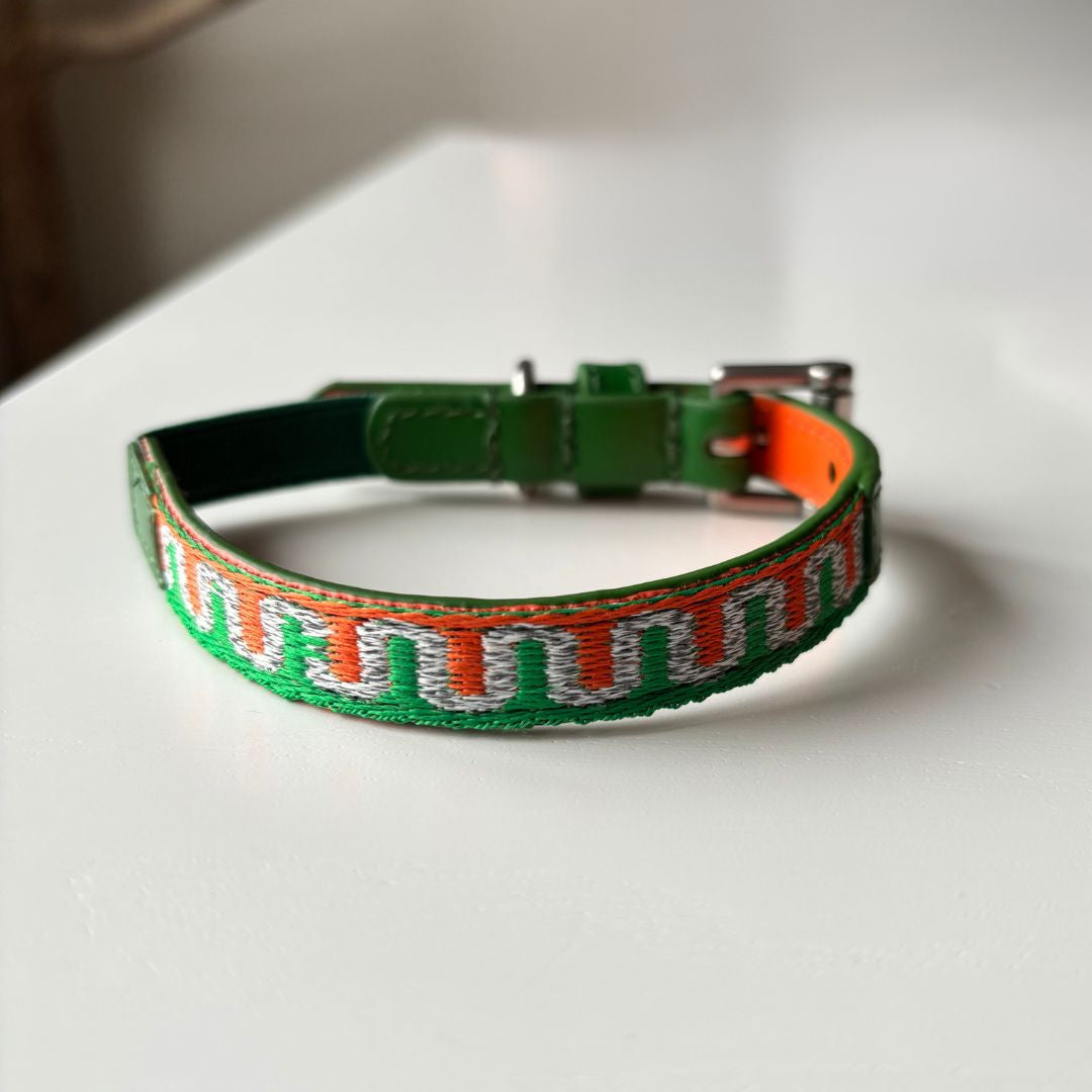 Kattenhalsband | Leer | GLOW