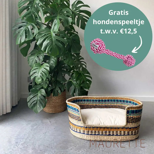 Hondenmand - Zeegras Medium (75cm X 45cm X 30cm) / Barcelona Hondenmanden