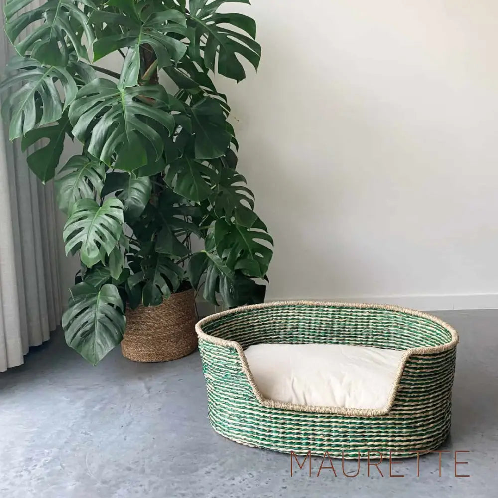 Hondenmand - Zeegras Medium (75cm X 45cm X 30cm) / Valencia Hondenmanden