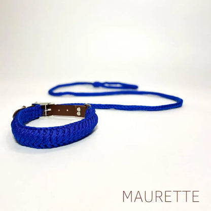 Set hals- en leiband + 2 hondenspeeltjes Small / Blauw Halsbanden + lijn