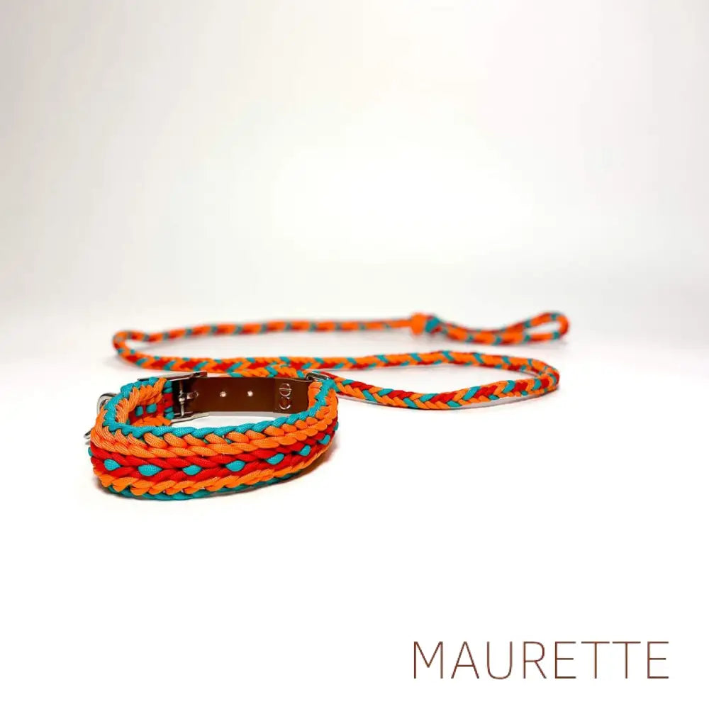 Set hals- en leiband + 2 hondenspeeltjes Small / Blauw/Oranje/Rood Halsbanden + lijn