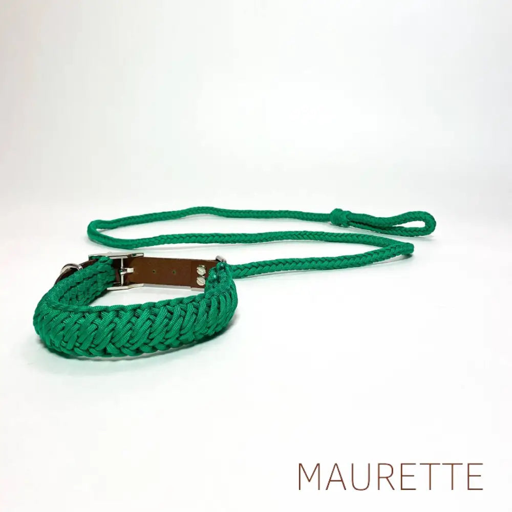 Set hals- en leiband + 2 hondenspeeltjes Small / Groen Halsbanden + lijn