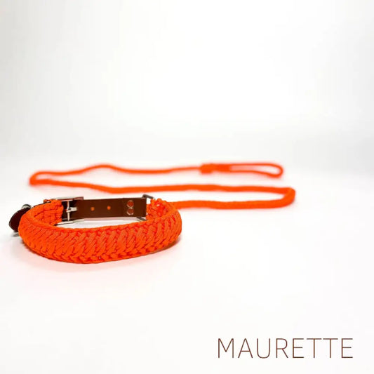 Set hals- en leiband + 2 hondenspeeltjes Small / Oranje Halsbanden + lijn