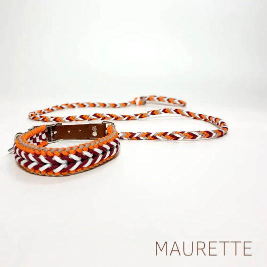 Set hals- en leiband + 2 hondenspeeltjes Small / Oranje/Wit/Rood Halsbanden + lijn