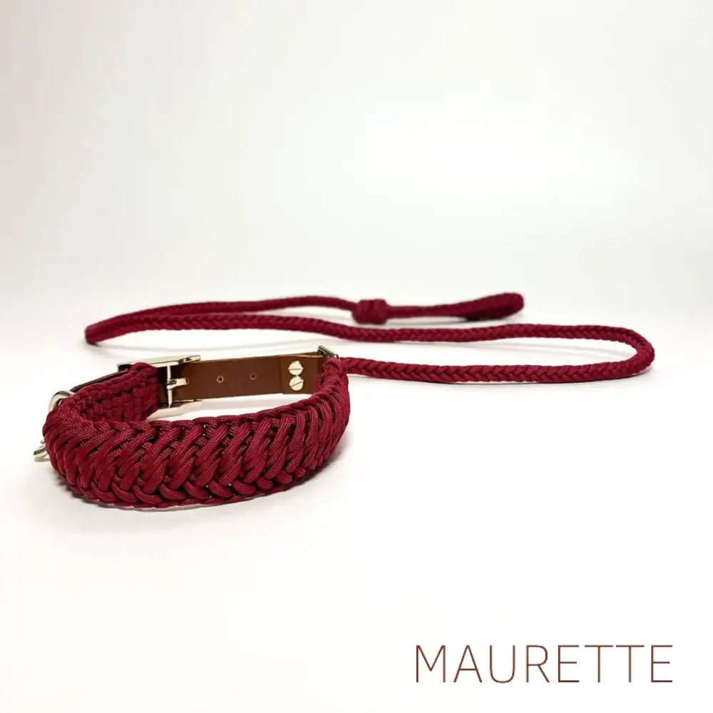 Set hals- en leiband + 2 hondenspeeltjes Small / Rood Halsbanden + lijn