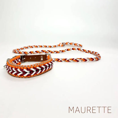 Set hals -en leiband Small / Oranje/Wit/Rood Halsbanden + lijn