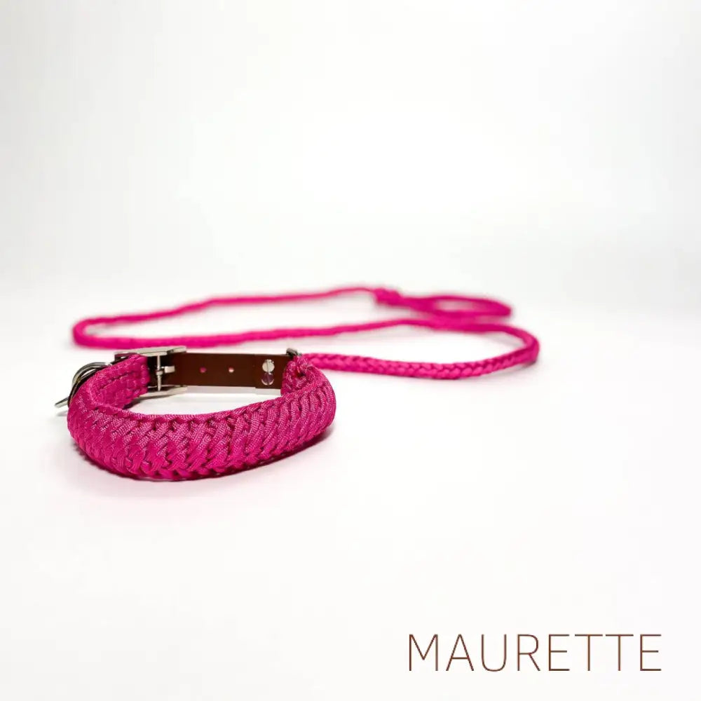 Set hals -en leiband Small / Roze Halsbanden + lijn